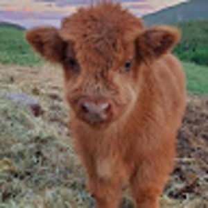 Meet your Posher, Charity